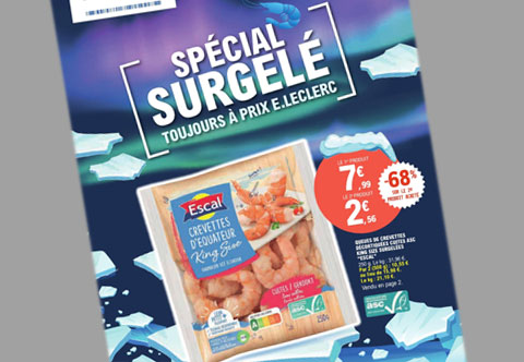 catalogue surgelés